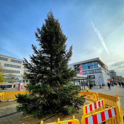 Weihnachtsbaum Rathausvorplatz 2022 Instagram