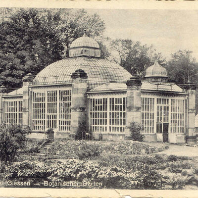 Botanischer Garten Gewächshaus um 1906