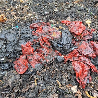 Hundekotbeutel aus Sinkkasten-Eimer-Leerung