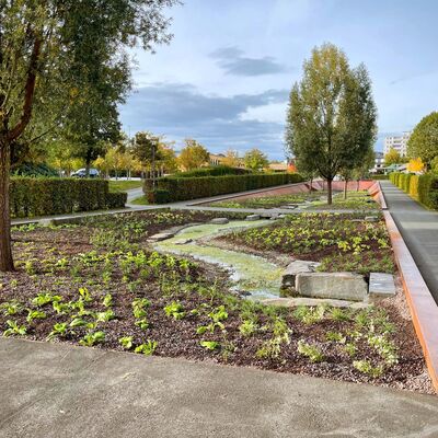 Neu bepflanzter Quellgarten Herbst 2023