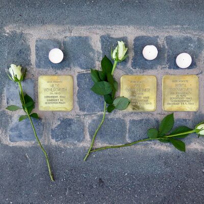 Stolperteine Oppenheimer und Wohlgemuth