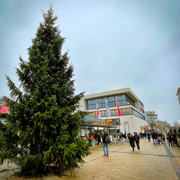 Weihnachtsbaum auf dem Rathausvorplatz 2023