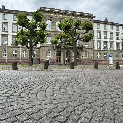 Neuer Stra�enbelag vor dem Unihauptgeb�ude