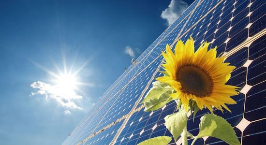Energie - Solaranlage mit Sonnenblume