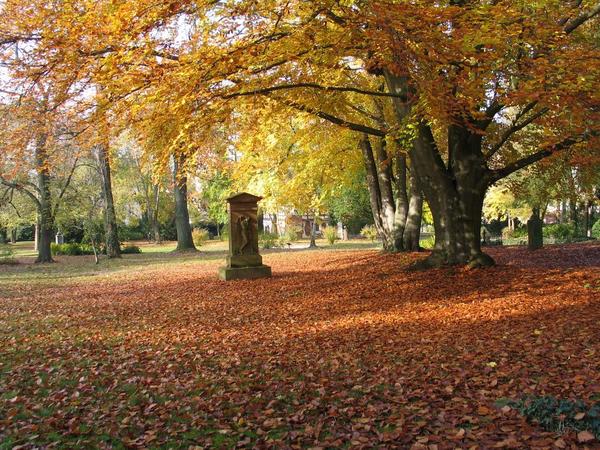 Alter Friedhof Gießen im Herbst