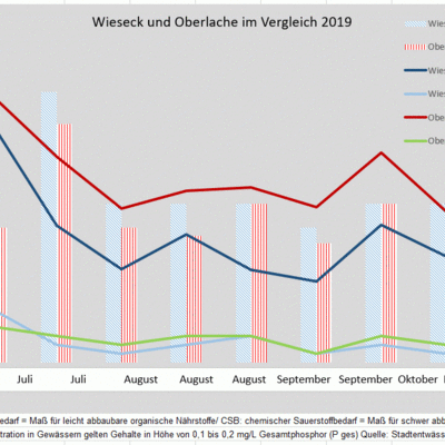 Diagramm Wasseruntersuchung 2019 Wieseck und Oberlache im Vergleich