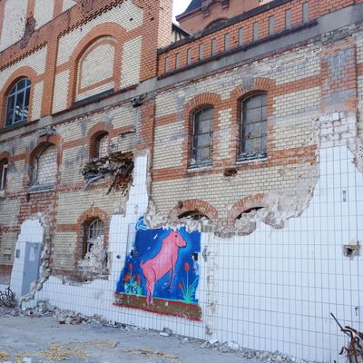 Schlachthof - Freilegung historische Fassade