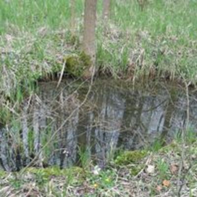 Tmpelquelle Schiffenberg